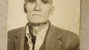 Köken Araştırmaları: III