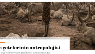 Bakım çetelerinin antropolojisi