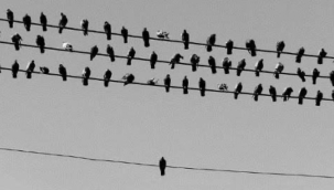 KALABALIK YALNIZLIK: DİJİTAL ÇAĞIN GÖRÜNMEZ GERÇEĞİ