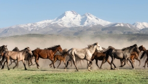 Türkiye Kültür Yolu Festivali Kayseri'de