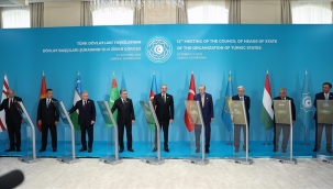 Türk Devletleri Zirvesi: Türk Devletleri Teşkilatı nereye gidiyor?
