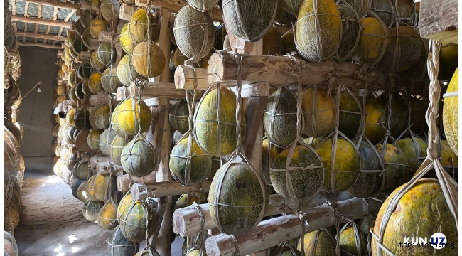 İlkbahara kadar dayanan Özbekistan kavunları