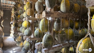 İlkbahara kadar dayanan Özbekistan kavunları