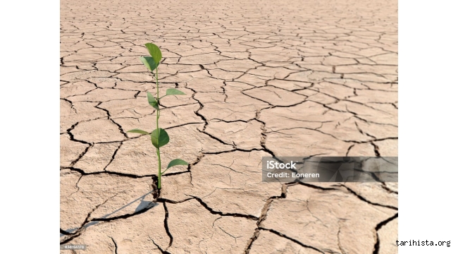 Meryem KOZAK YAZDI:BEN SADECE TOPRAĞA KIRGINIM