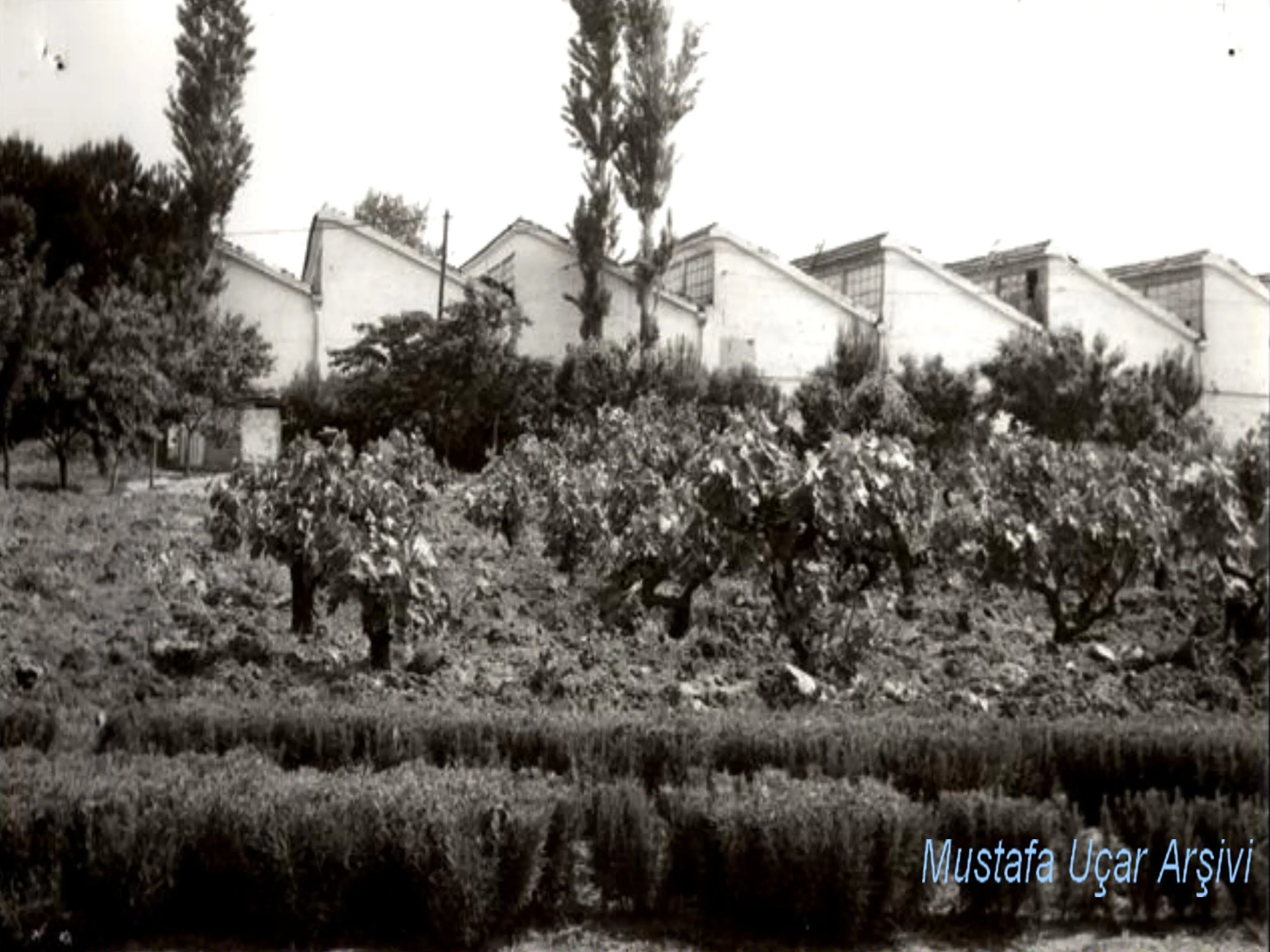 SALİHLİ TİCARET VE SANAYİ ODASININ YÜZ YILLIK ÖYKÜSÜ