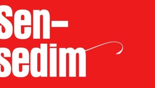 Sensemek Fiili Üzerine