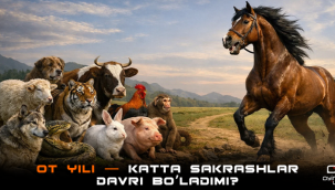 Türklerde At Yılı (2026) büyük atılımların ve ilerlemelerin yılı olacak mı?