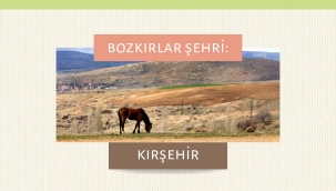 Bozkırlar Şehri: Kırşehir