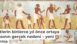 Devletlerin binlerce yıl önce ortaya çıkmasının gerçek nedeni 