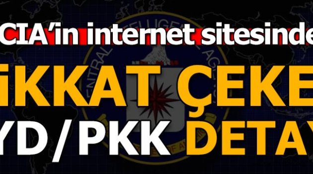 ABD PYD/PKK'yı terörist 