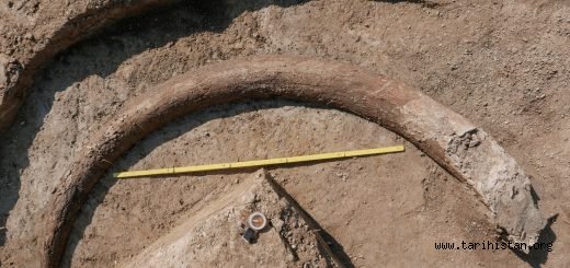 Almanya'da Arkeologlar 2,5 Metre Uzunluğunda Mamut Fildişi Buldular!
