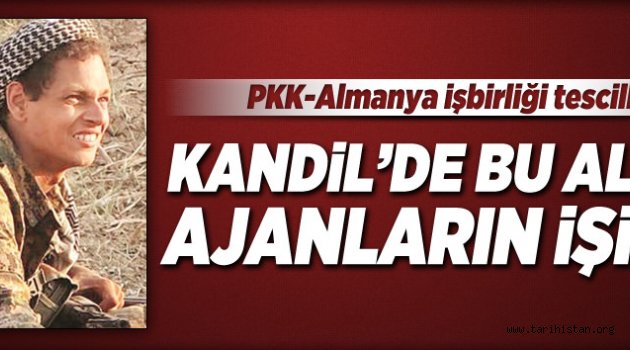Almanya PKK işbirliği tescillendi