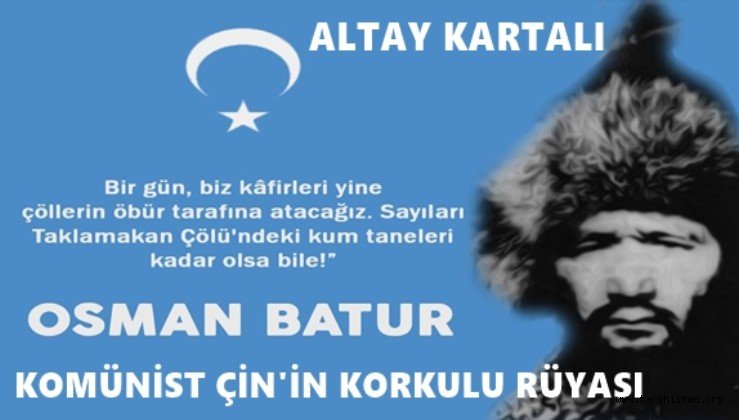Altay kartalı / Elnur Paşa