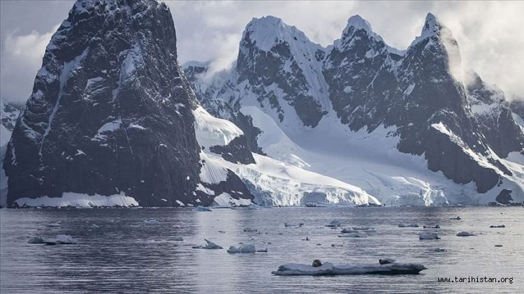 Antartika'daki eriyen kar yüzeyi yosun örtüleriyle kaplanıyor