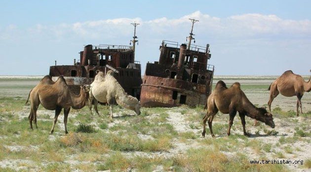 Aral Gölü zehirli çöle dönüştü