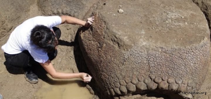 Arjantin'de Soyu Tükenmiş Bir Hayvan Türü Olan Zırhlı Glyptodon Fosili Bulundu!