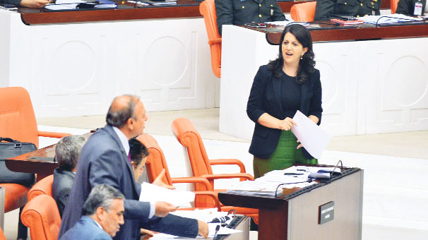 BDP: Türk ifadesi çıkarılsın