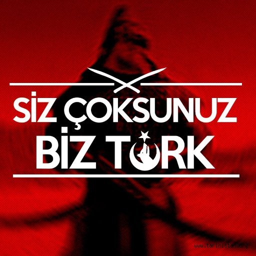 Biz Türklüğümüzü unutmadık, siz de unutmayın - Yazan: LEYLA ŞERİF EMİN
