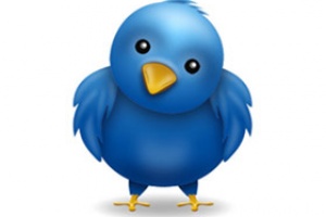 BM'den Türkiye'ye twitter eleştirisi