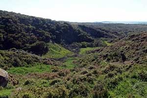 Çanakkale'de yeni şehitlikler bulundu