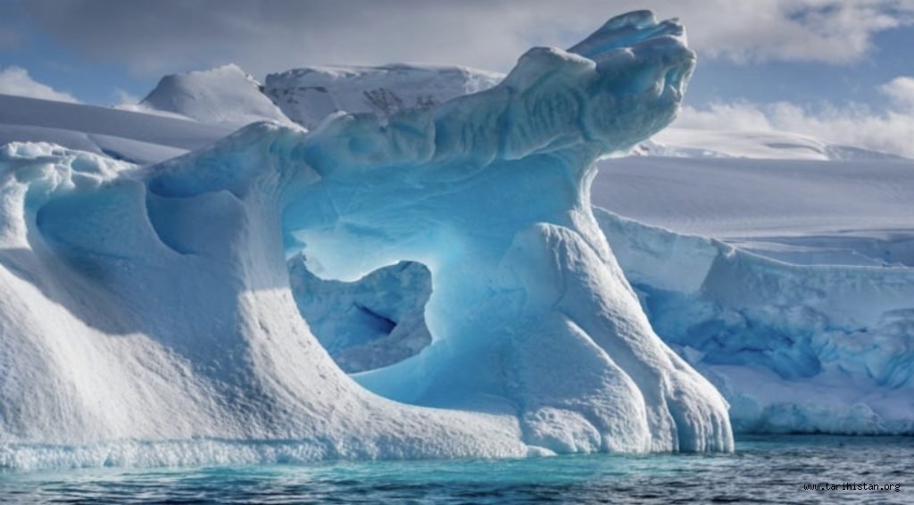 Dünya'nın En Soğuk Bölgesi Antarktika'da 90 Milyon Yıl Önce Tropikal Ormanların Olduğu Anlaşıldı!