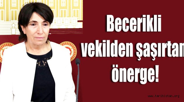 HDP'li Becerikli'den şaşırtan soru önergesi