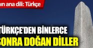 Dünyanın ana dili Türkçe: İşte Türkçe'den sonra doğan diller! 