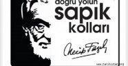 KİTAP ÖZETİ: DOĞRU YOLUN SAPIK KOLLARI (Necip Fazıl Kısakürek)