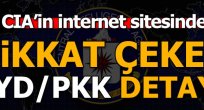 ABD PYD/PKK'yı terörist 