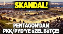 ABD'nin PKK'PYD'ye özel bütçe 