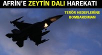  Afrin'de Zeytin Dalı harekatı 