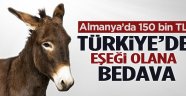 Almanya'da 150 bin lira Türkiye'de eşeği olana bedava