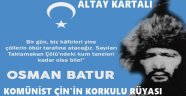 Altay kartalı / Elnur Paşa