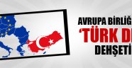 Avrupa Birliği'nde "Türk dili" paniği