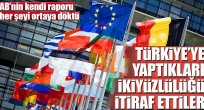 Avrupa Birliği'nin ikiyüzlülüğü kendi raporunda