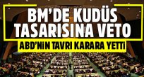BM'den Filistin'in Kudüs tasarısına red