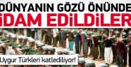 Çin 20 Uygur'u idam etti
