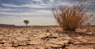 Çölleşmenin yıllık zararı 42 milyar dolar