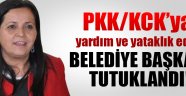 DBP'li Belediye Başkanı tutuklandı