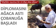 Diplomasını ağaca astı çobanlığa başladı