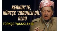 İlber Ortaylı: Kerkük'te Türkçe evlere mi hapsolacak?