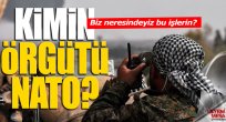 NATO Kimin Örgütü?
