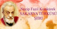 Sakarya Türküsü - Necip Fazıl Kısakürek 