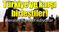 Terör örgütü PKK/YPG Haşdi Şabi ile birleşti