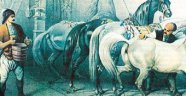 Türk tarihinde hayvan sevgisi nasıldı?