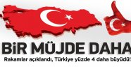 Türkiye ekonomisi yüzde 4 büyüdü