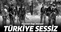 Türkmen Dağı Düştü!