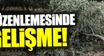 Zeytinlik tartışmasında umut veren gelişme!