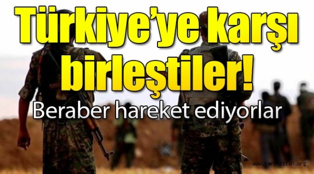 Terör örgütü PKK/YPG Haşdi Şabi ile birleşti