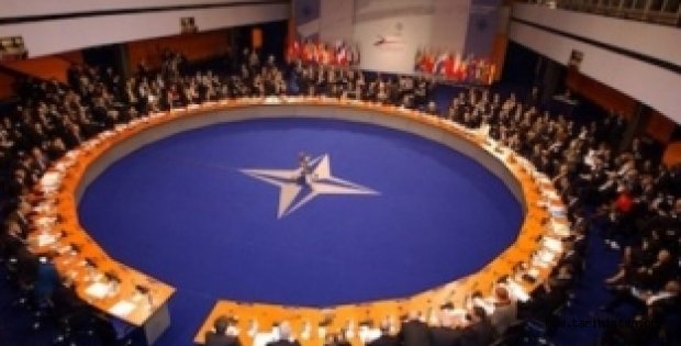 Türkiye NATO'suz müdahale edecek!